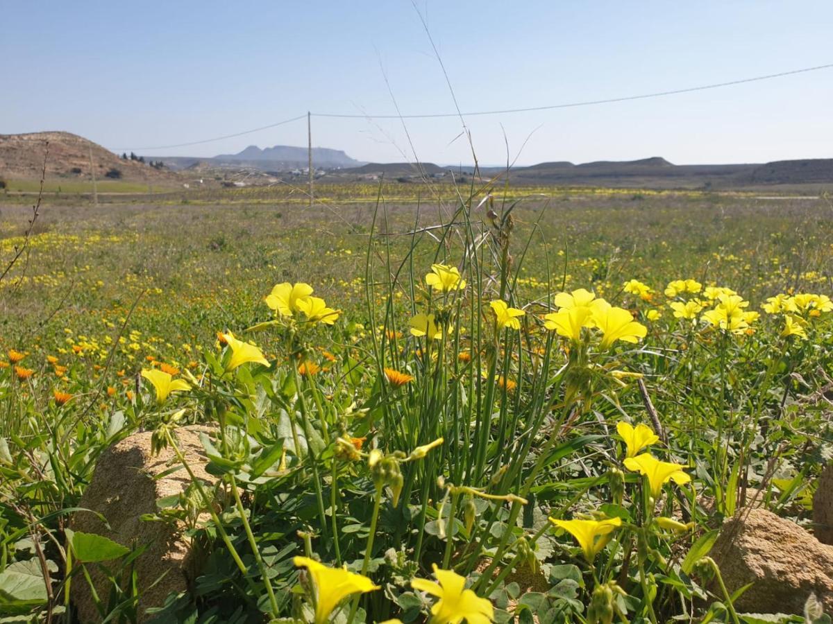 El Molino De Arriba Villa Níjar Dış mekan fotoğraf
