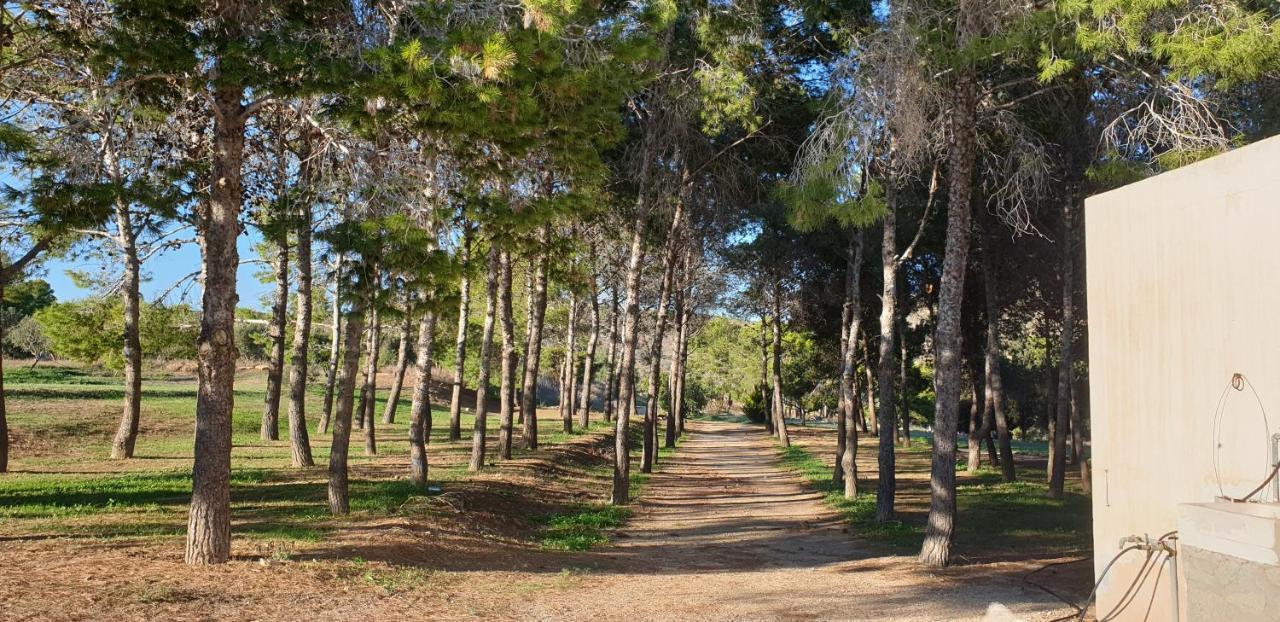 El Molino De Arriba Villa Níjar Dış mekan fotoğraf