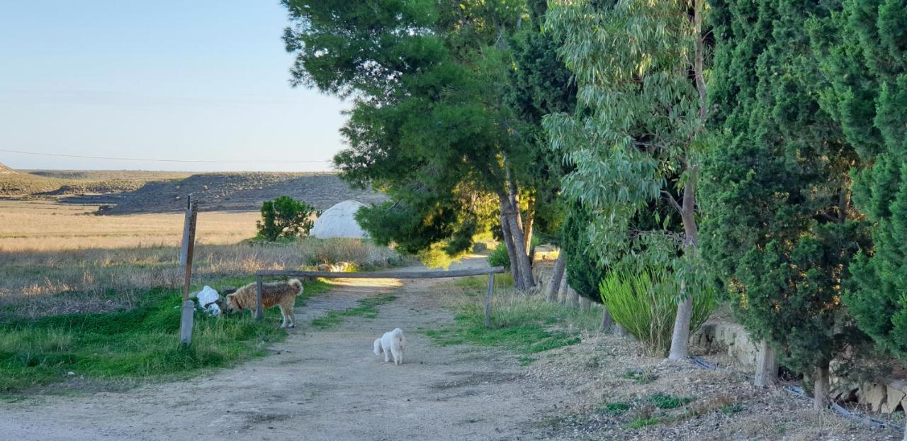 El Molino De Arriba Villa Níjar Dış mekan fotoğraf