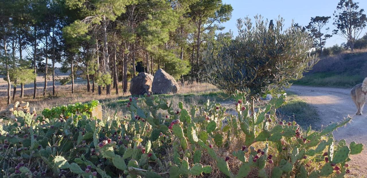 El Molino De Arriba Villa Níjar Dış mekan fotoğraf