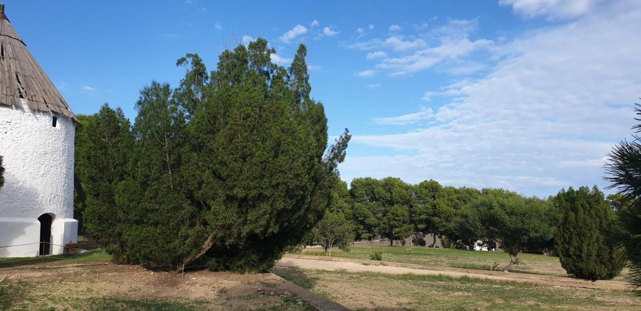 El Molino De Arriba Villa Níjar Dış mekan fotoğraf