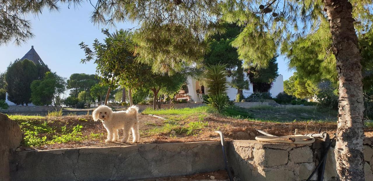 El Molino De Arriba Villa Níjar Dış mekan fotoğraf