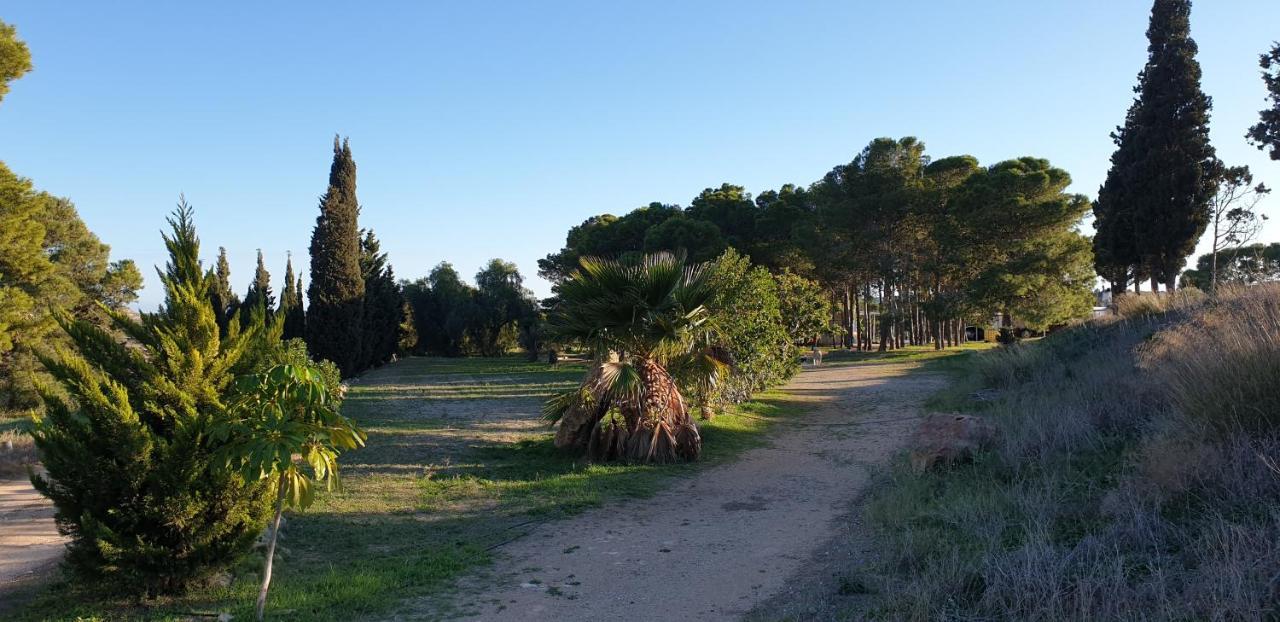 El Molino De Arriba Villa Níjar Dış mekan fotoğraf
